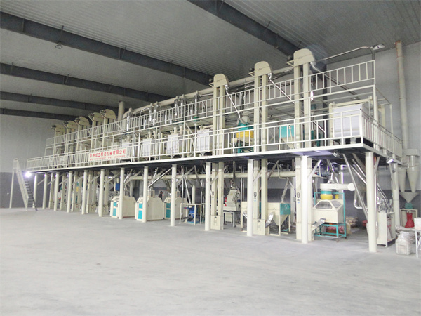 150噸玉米加工設備